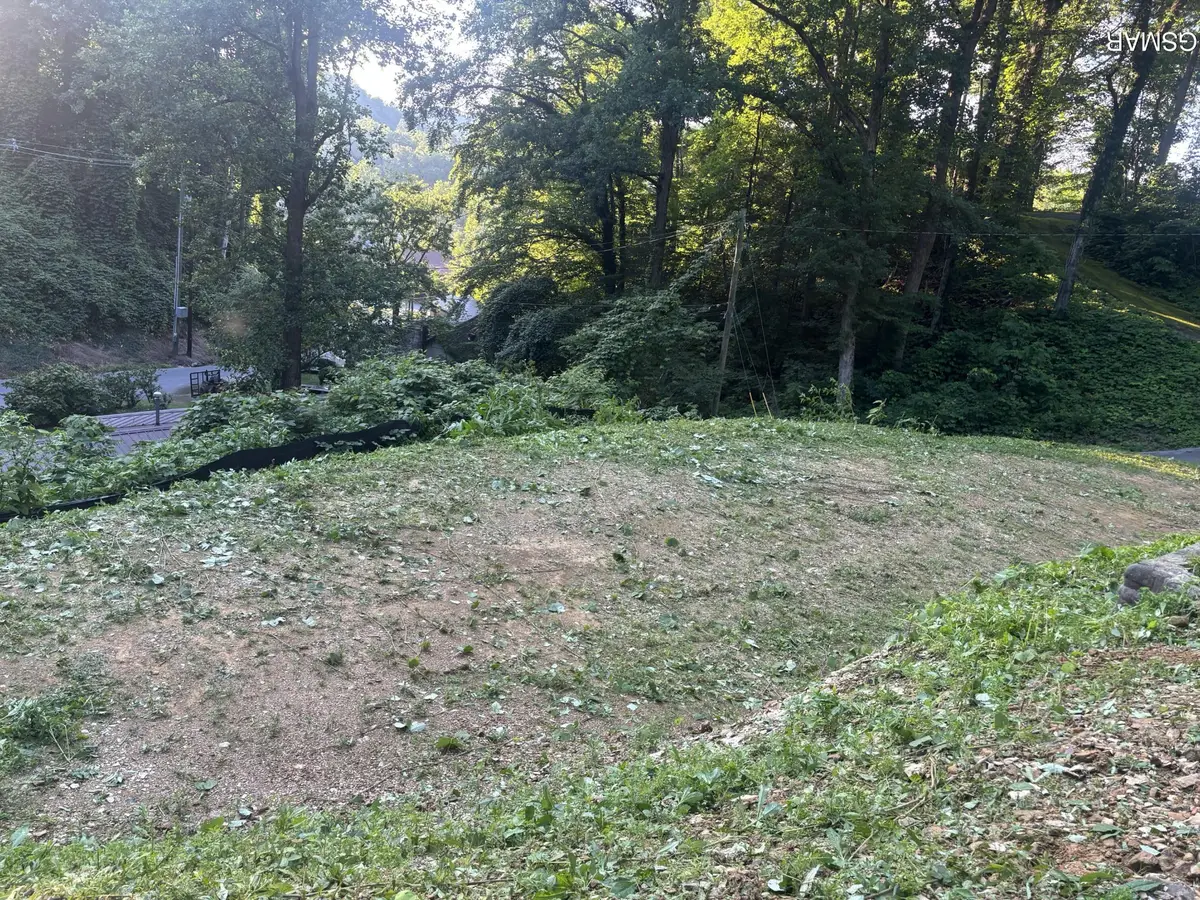 229 Silverbell Lane, Gatlinburg, TN 37738 - #1