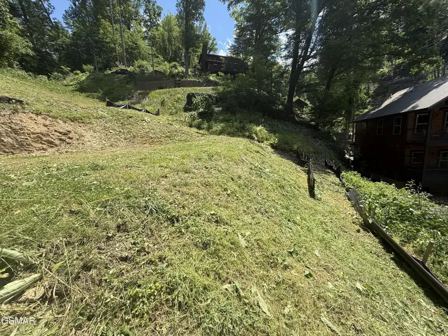 229 Silverbell Lane, Gatlinburg, TN 37738 - #2