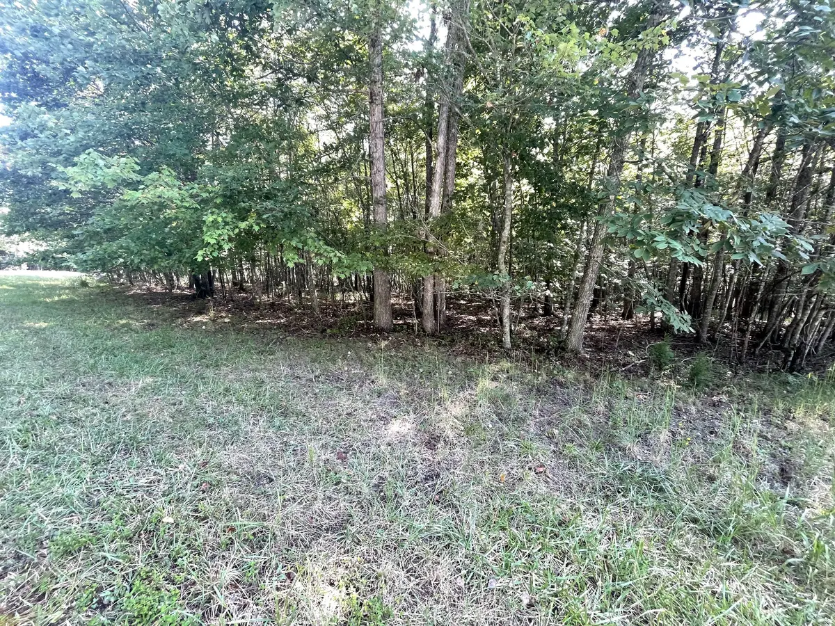 0 Holly Ln, Spencer, TN 38585 - #1