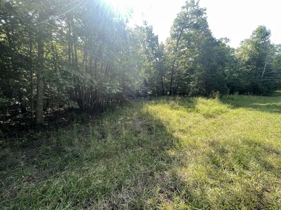 0 Holly Ln, Spencer, TN 38585 - #3