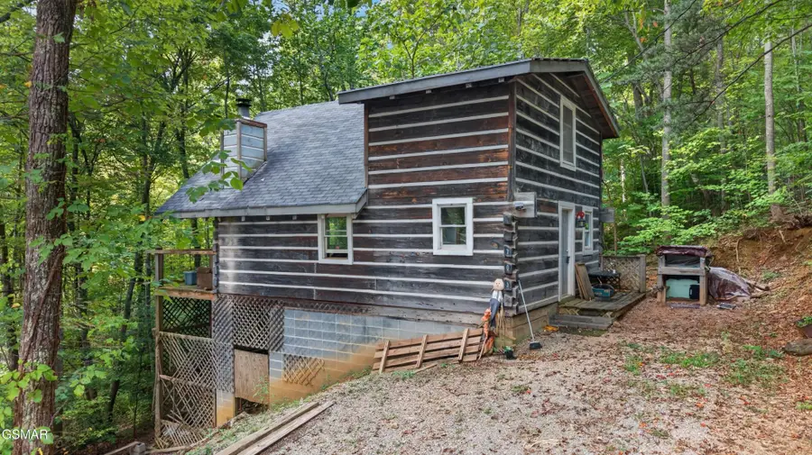 703 Fred Harrison Way, Gatlinburg, TN 37738 - #3