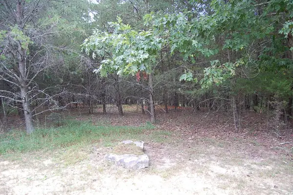 36 Bluff View Drive, Dunlap, TN 37327