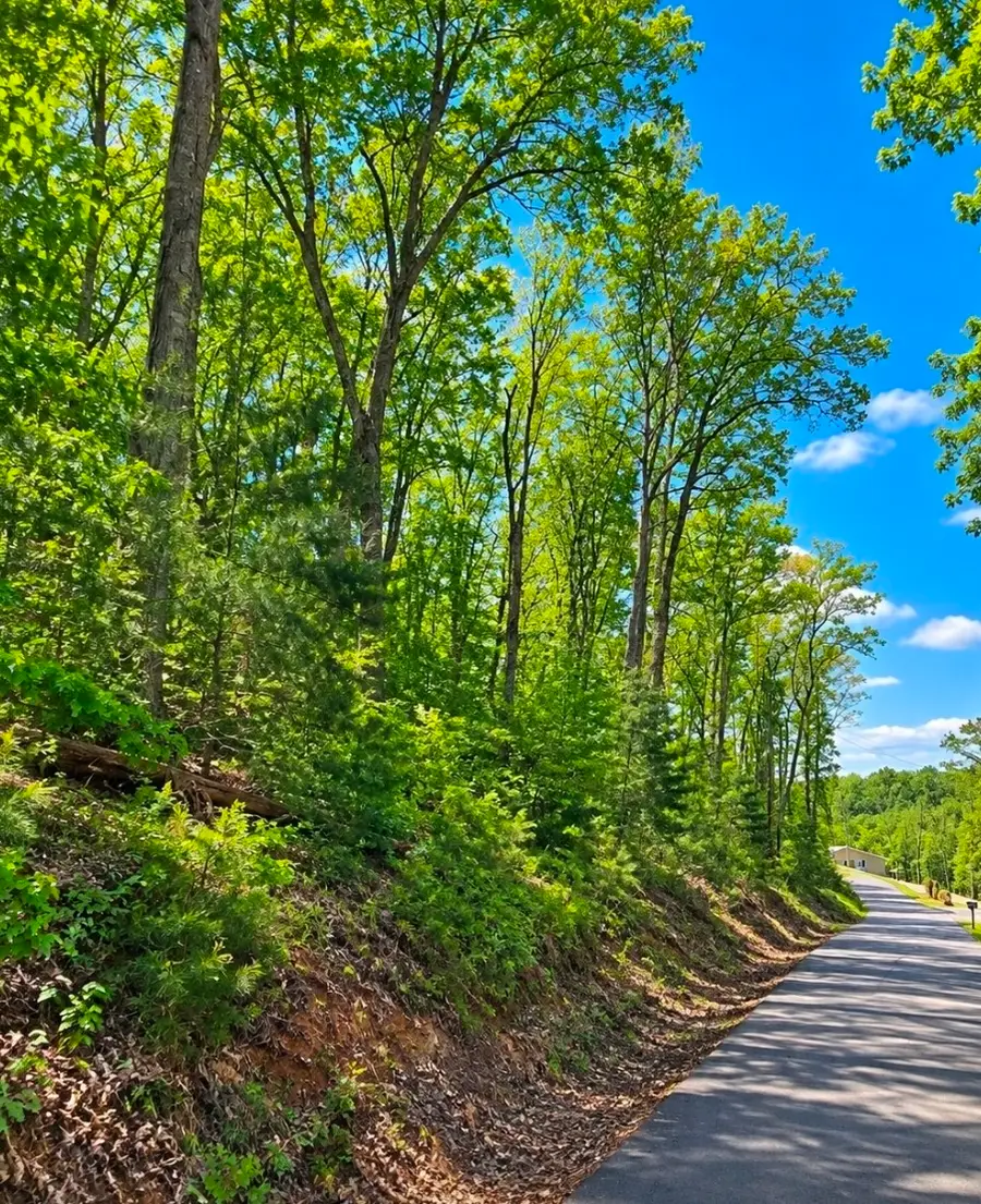 1 Trail Lane, Gray, TN 37615 - #2