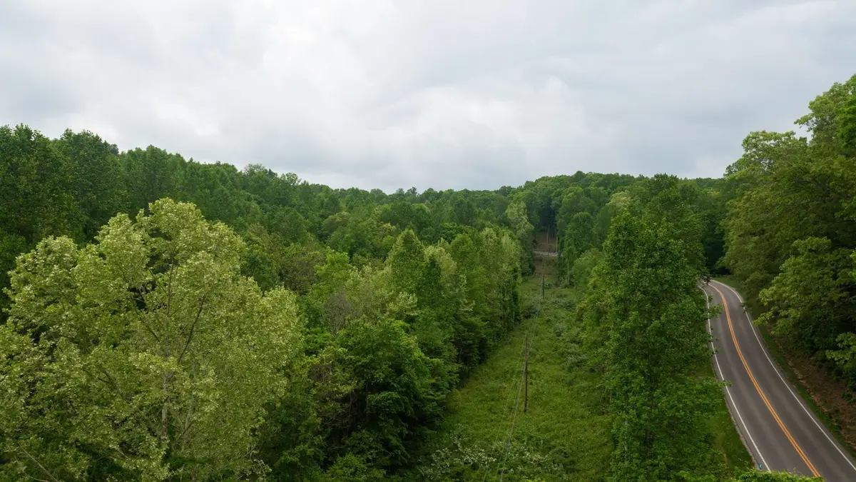 2100 Highway 13, Erin, TN 37061 - #1