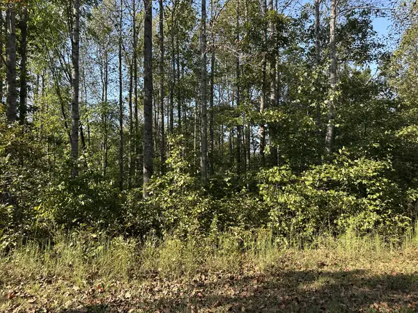 2100 Highway 13, Erin, TN 37061