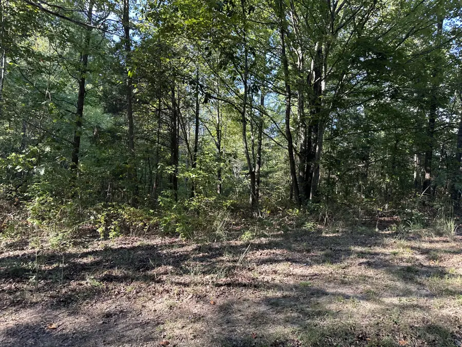 2100 Highway 13, Erin, TN 37061 - #3