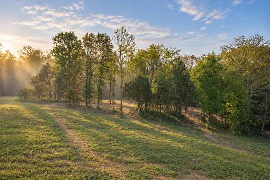 1268 Old County House Road, Charlotte, TN 37036 - #3