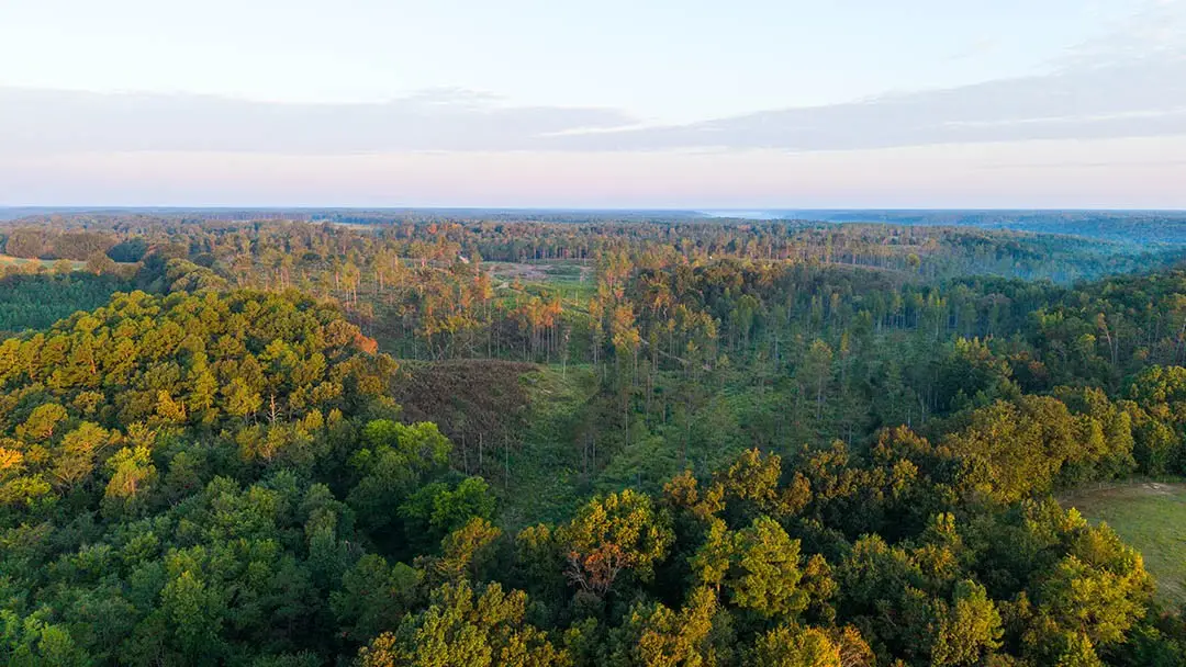 0 Second Creek Road, Lutts, TN 38471 - #1