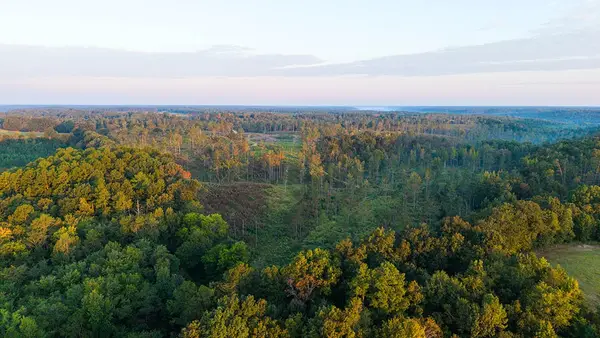 0 Second Creek Road, Lutts, TN 38471