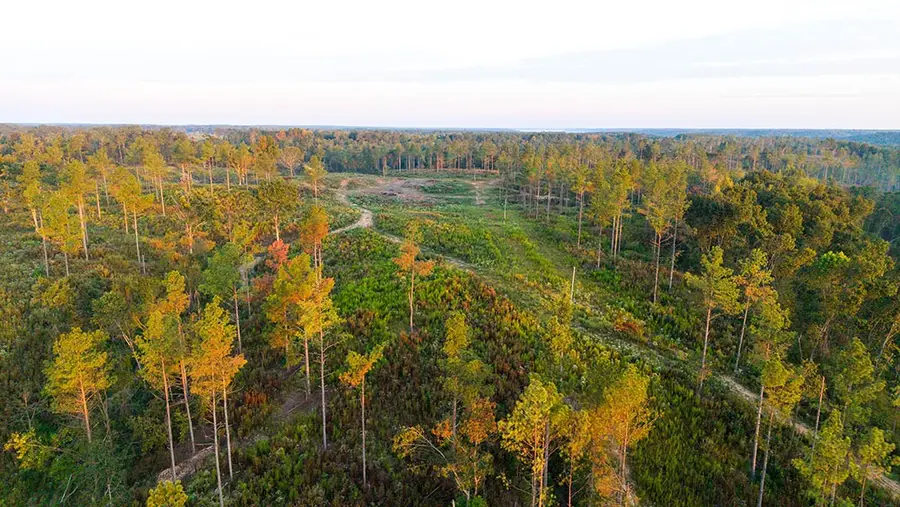 0 Second Creek Road, Lutts, TN 38471 - #2