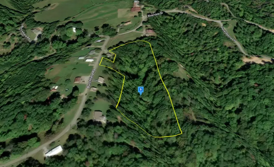 970 Burchfield Road, Dandridge, TN 37725 - #3