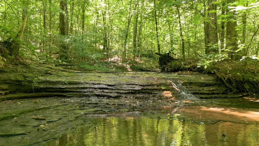 8218 Old Pond Creek Rd, Nashville, TN 37209 - #2