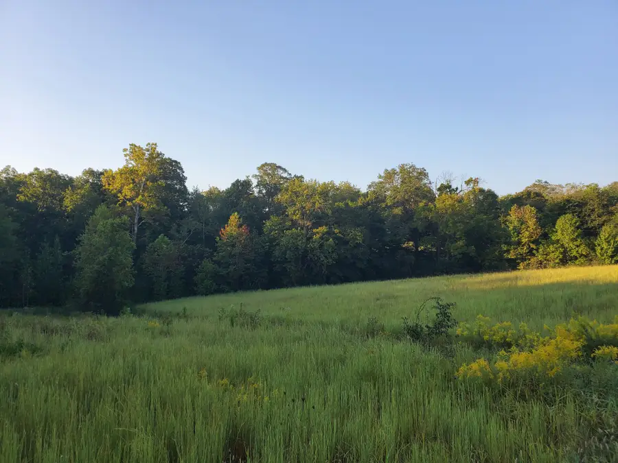 2242 Shelton Ferry Rd, Southside, TN 37171 - #3