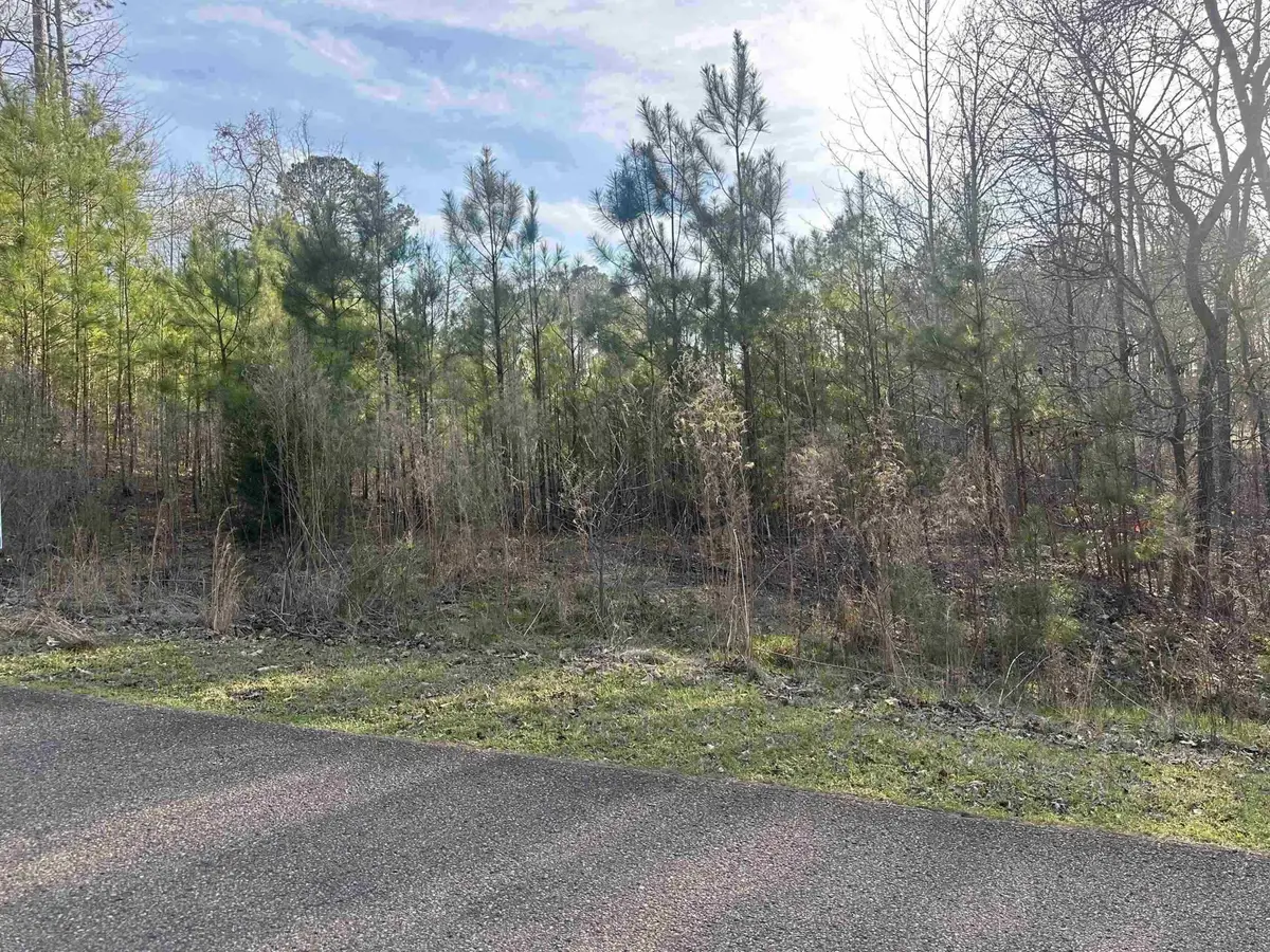 0 Shiloh Falls Court Rd, Savannah, TN 38372 - #1