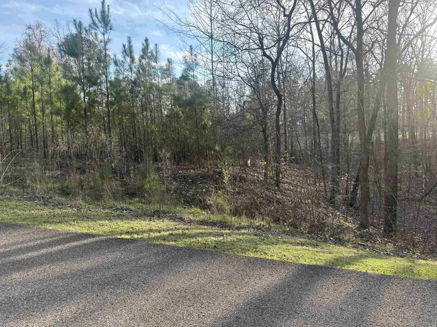 0 Shiloh Falls Court Rd, Savannah, TN 38372 - #2