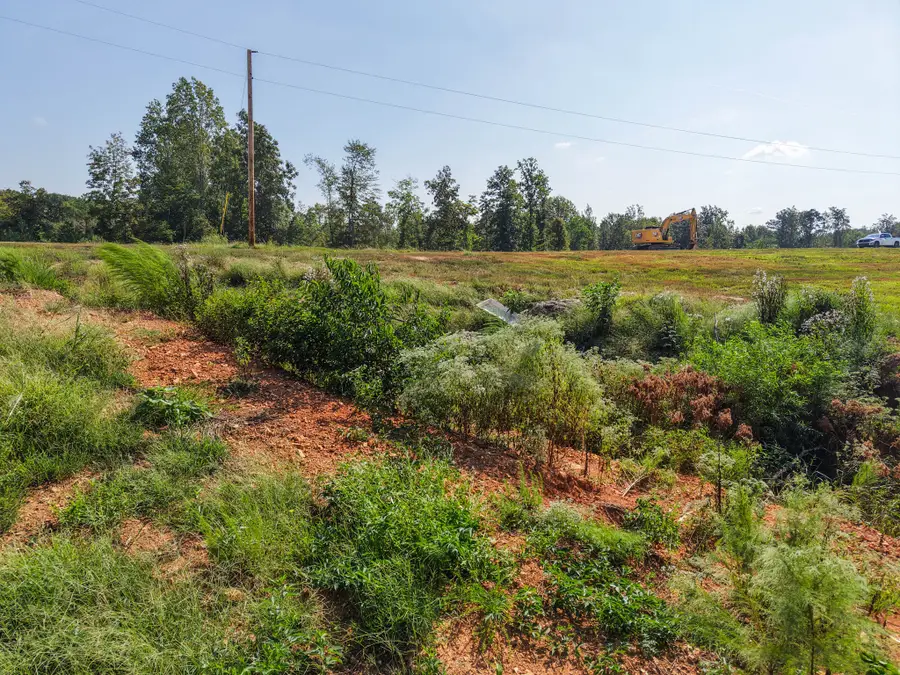 0 Bear Dr, Loretto, TN 38469 - #3