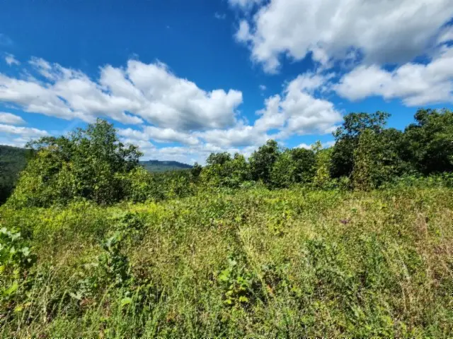 0 Tomahawk Rd, Jamestown, TN 38556 - #3