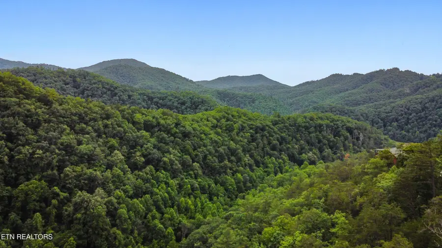 4137 Watson Court, Pigeon Forge, TN 37863 - #3