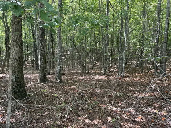 0 2 Lake Trail, Dunlap, TN 37327