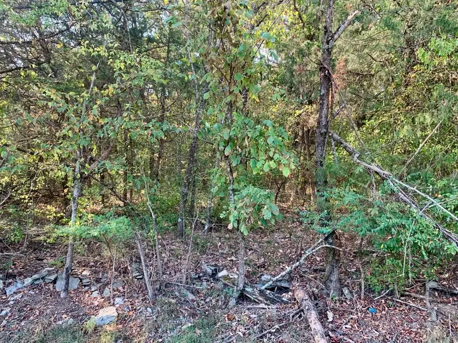 0 Old Lincoln Rd, Fayetteville, TN 37334 - #3