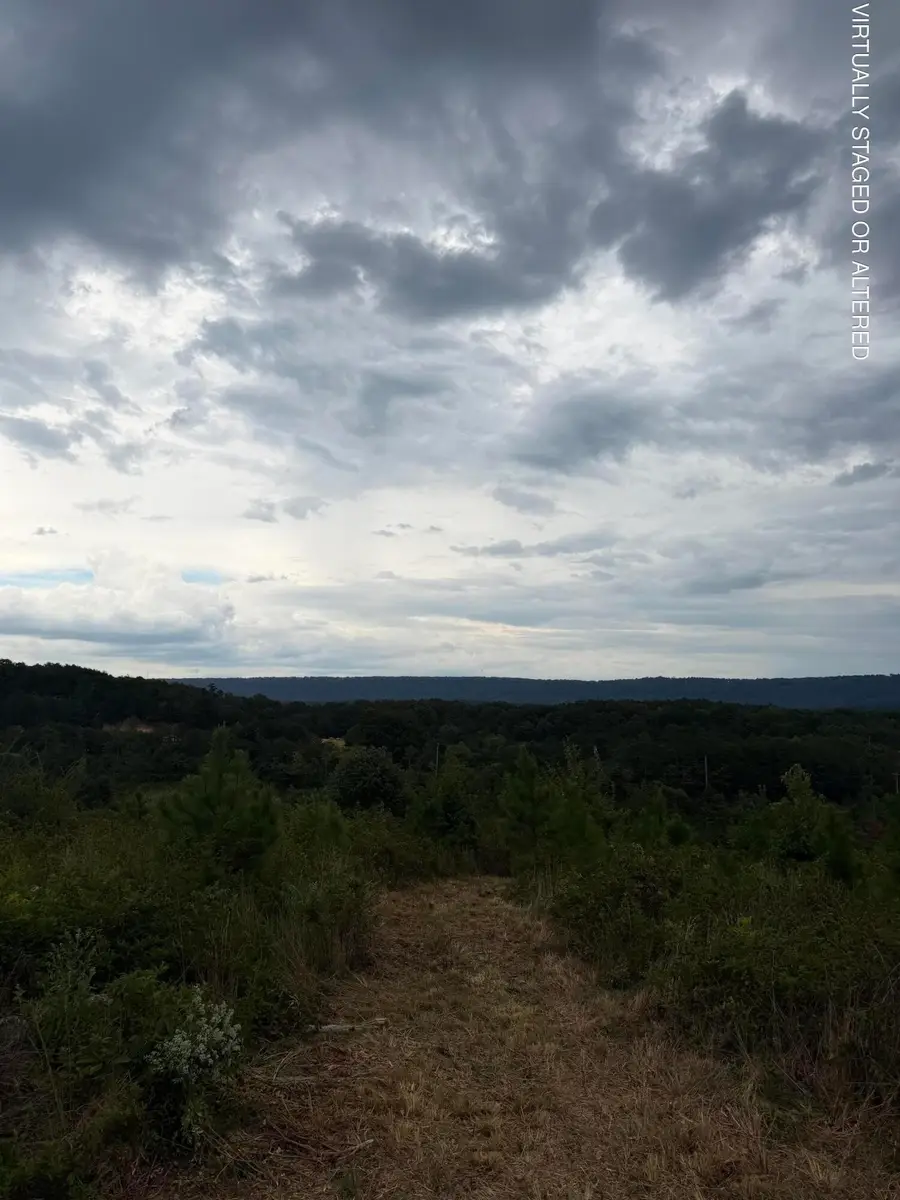 1 Bethel Road, Hammondville, AL 35989 - #2