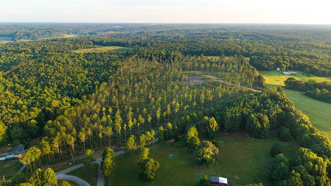 1 Gilchrist Road, Cypress Inn, TN 38452 - #1