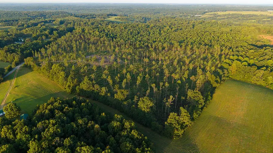 1 Gilchrist Road, Cypress Inn, TN 38452 - #2