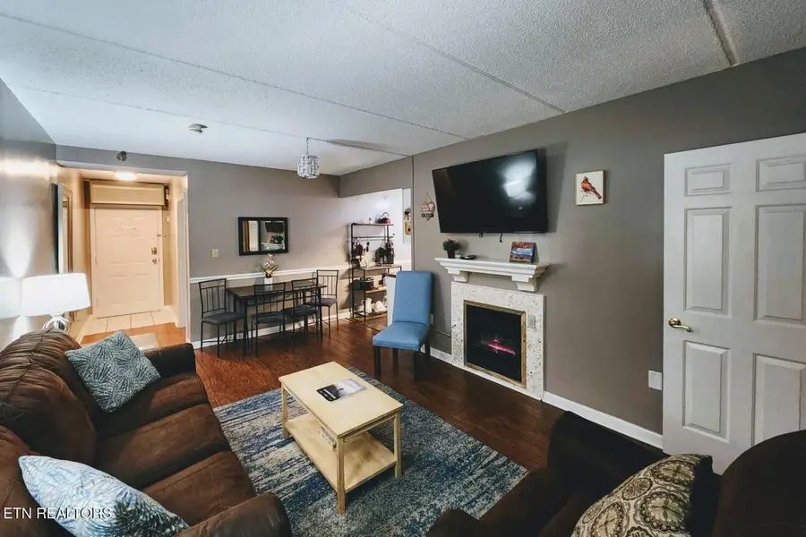 413 Baskins Creek Rd #301, Gatlinburg, TN 37738 - #2