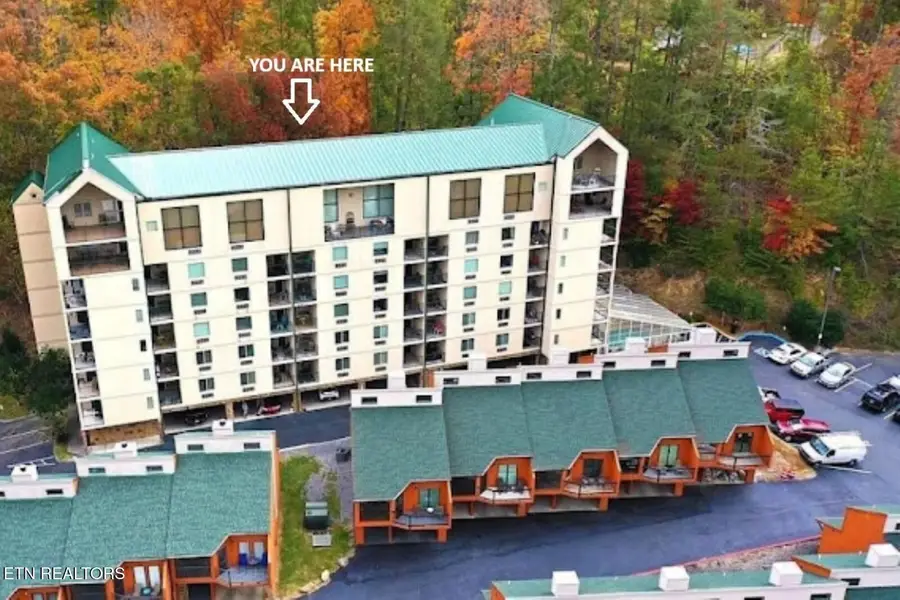 413 Baskins Creek Rd #301, Gatlinburg, TN 37738 - #3