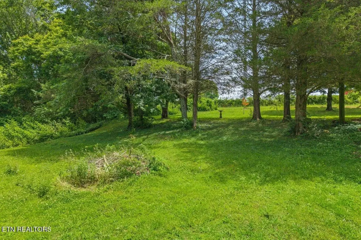 0 Buck Brown St, Englewood, TN 37329 - #1