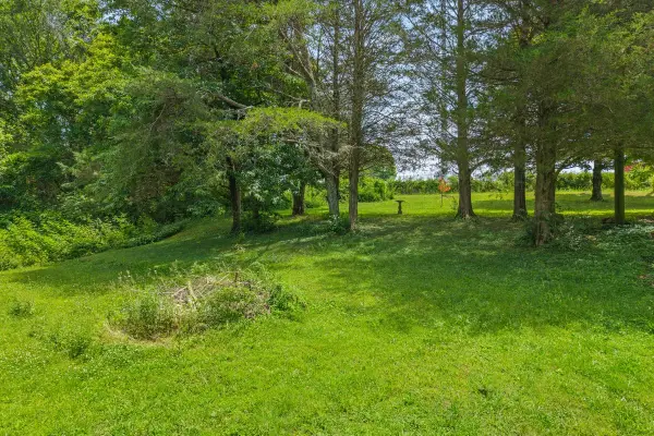 0 Buck Brown St, Englewood, TN 37329
