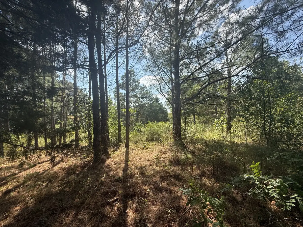 1140 Southside Rd, Southside, TN 37171 - #1