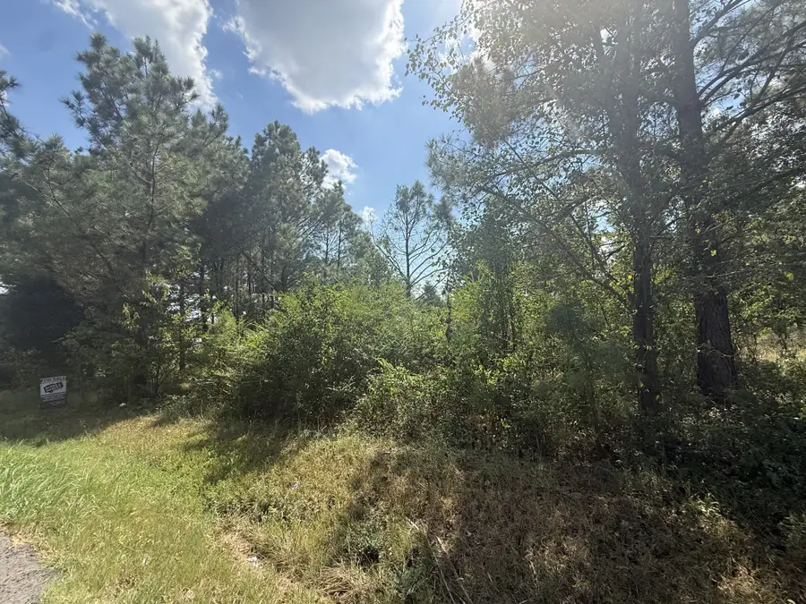 1140 Southside Rd, Southside, TN 37171 - #3