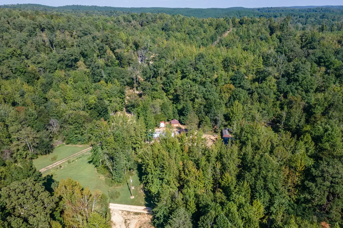 664 Russ Valley Rd, Lobelville, TN 37097 - #1