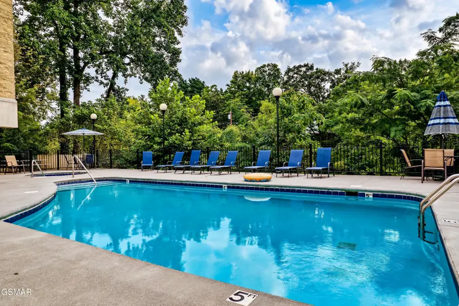 3919 S River Road #604, Pigeon Forge, TN 37863 - #3