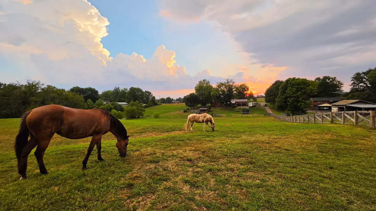 175 Bettis Rd, Lebanon, TN 37090 - #1