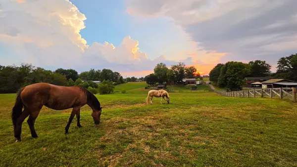 175 Bettis Rd, Lebanon, TN 37090