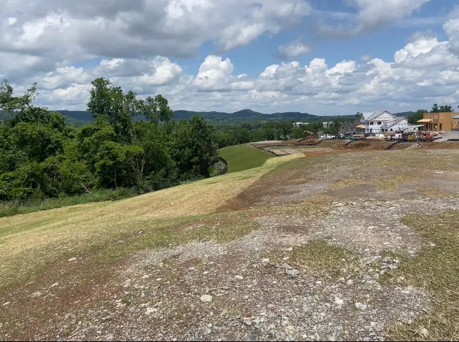 157 Berry Hunter Lane, Franklin, TN 37067 - #2