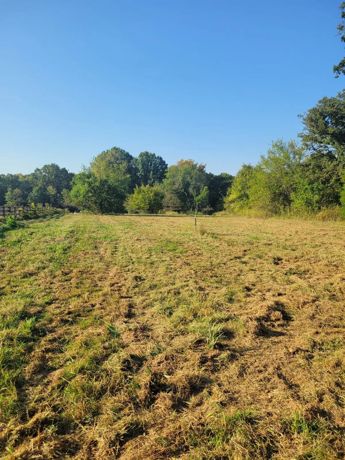 8 Double Branch Road, Columbia, TN 38401 - #1