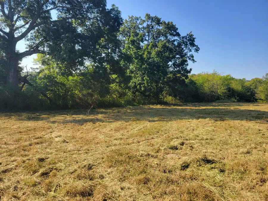 8 Double Branch Road, Columbia, TN 38401 - #3