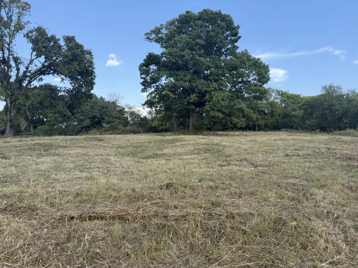 1 Hog Hollow Ln, Bethpage, TN 37022 - #1