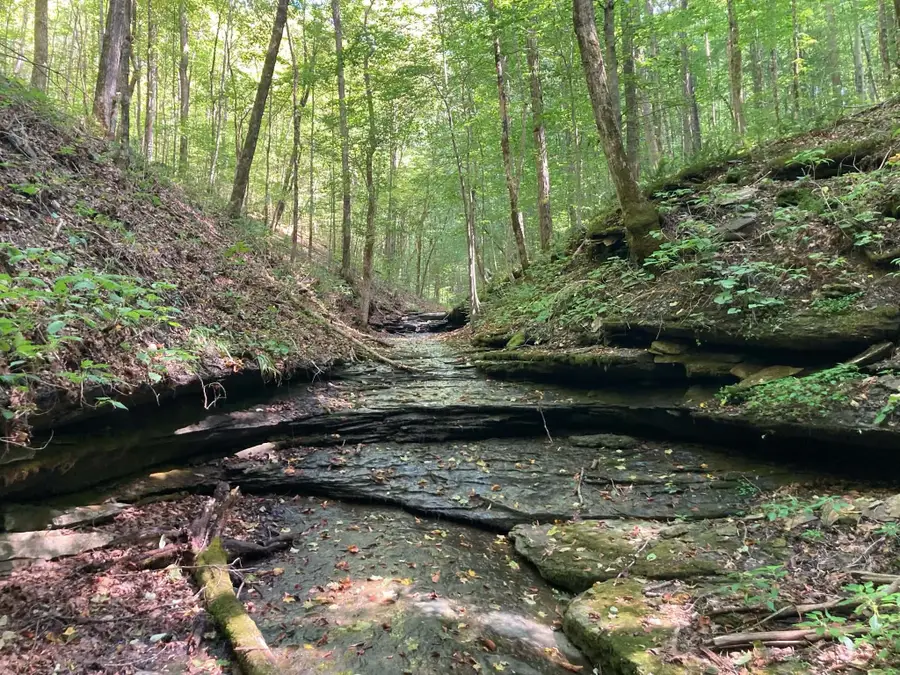 1810 Holland Rd, Lafayette, TN 37083 - #2
