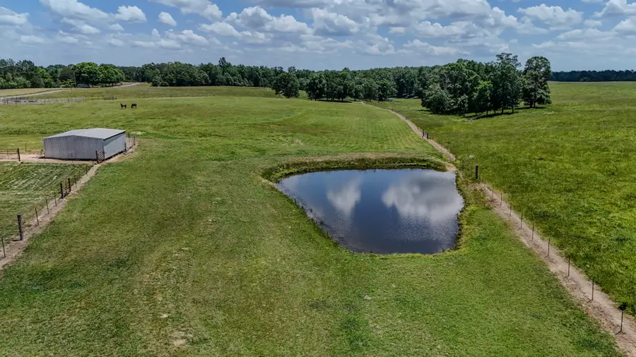 1198 David Patterson Rd, Lutts, TN 38471 - #2