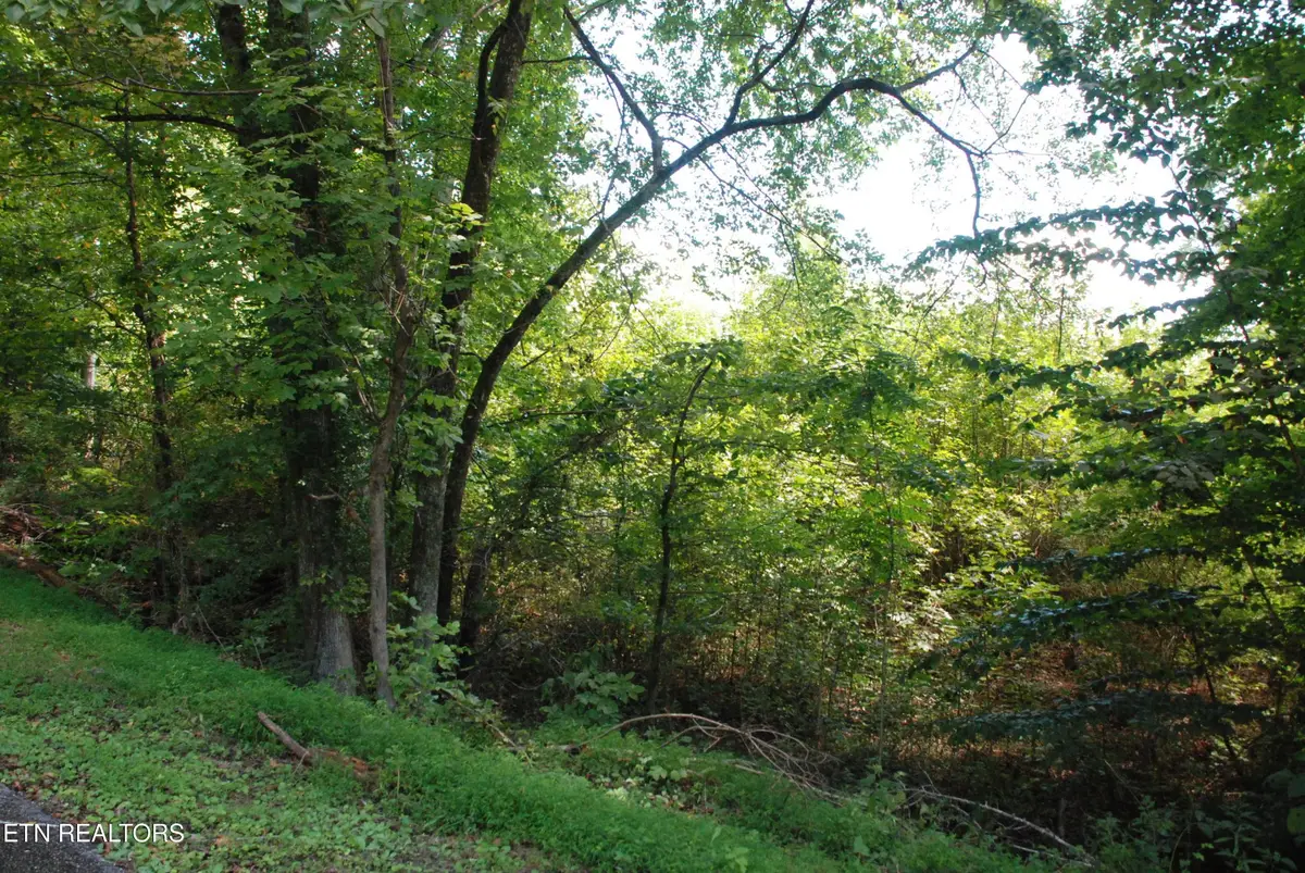 2222320 Vann Drive, Harriman, TN 37748 - #1