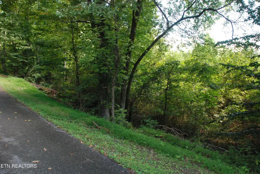 2222320 Vann Drive, Harriman, TN 37748 - #2