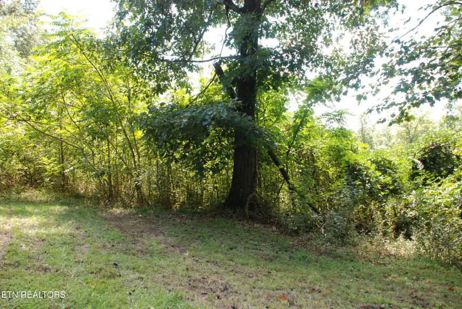 2222320 Vann Drive, Harriman, TN 37748 - #3