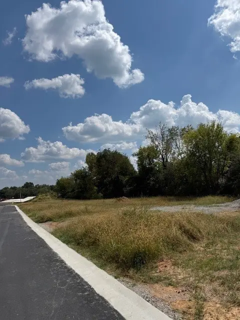 0 Sophias Place, Lawrenceburg, TN 38464 - #2