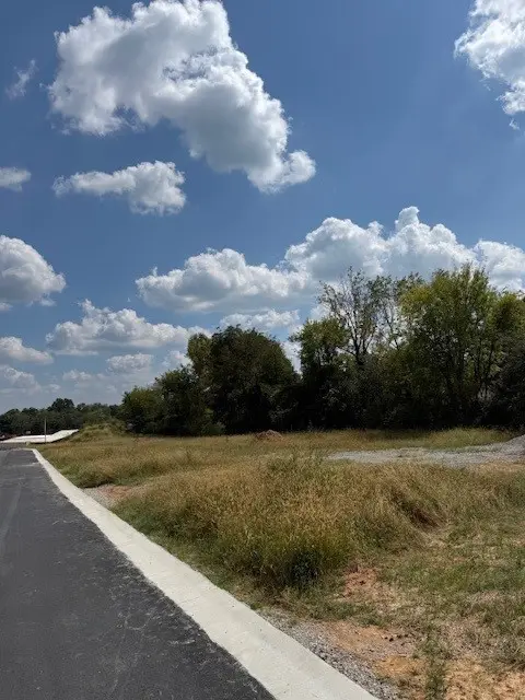 0 Sophias Place, Lawrenceburg, TN 38464 - #2