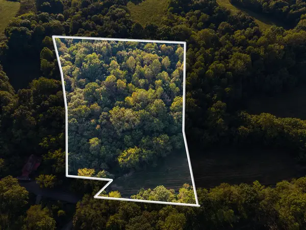4 Shelter Branch, Charlotte, TN 37036