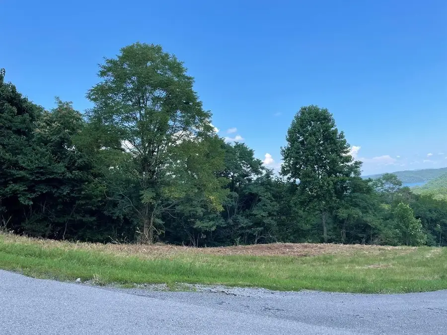 0 Goose Rd, Hilham, TN 38568 - #3